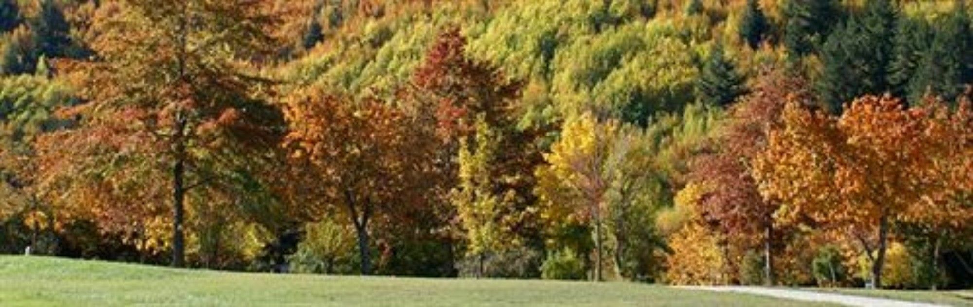 Hampshire Holiday Parks - Arrowtown Εξωτερικό φωτογραφία